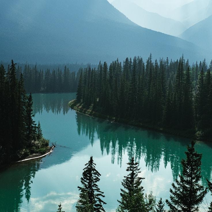 Protected areas overview